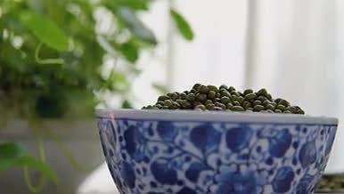 夏季清凉消暑美食绿豆汤视频的预览图